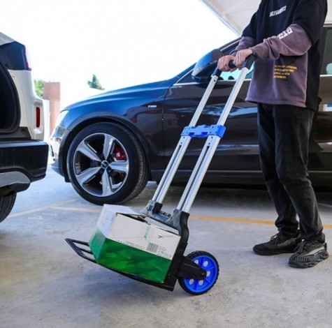 Тележка ручная складная СТЕЛЛА-ТЕХНИК FW-90M 125 кг Тележка ручная складная СТЕЛЛА-ТЕХНИК FW-90M 125 кг